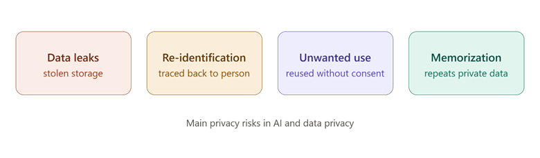 What Are the Privacy Risks of AI?